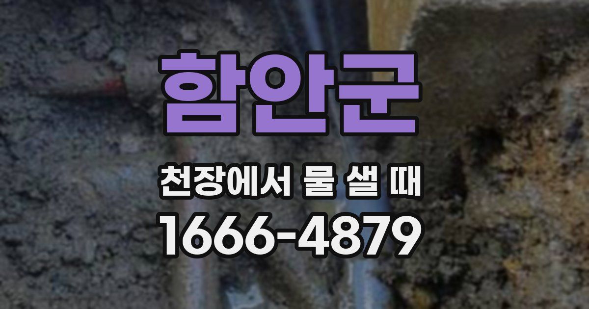 함안군 천장에서 물 샐 때