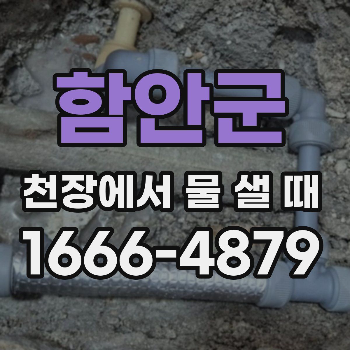 함안군 천장에서 물 샐 때