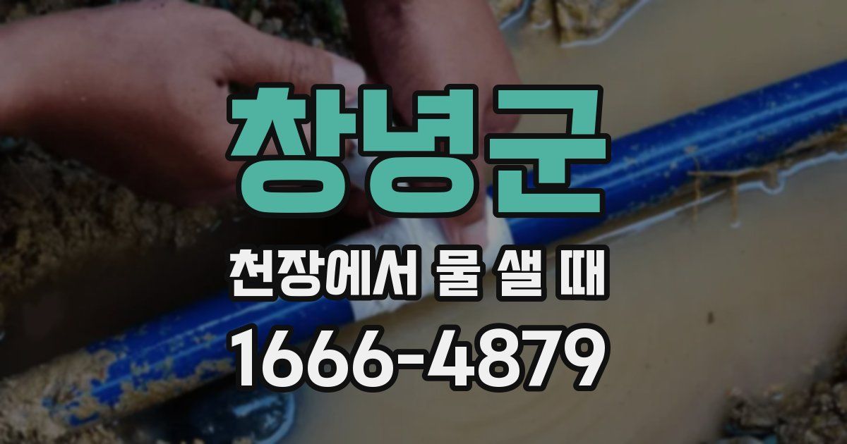 창녕군 천장에서 물 샐 때