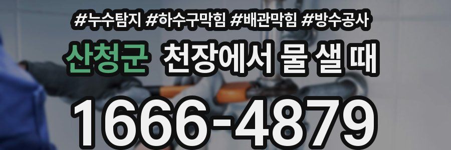 산청군 천장에서 물 샐 때