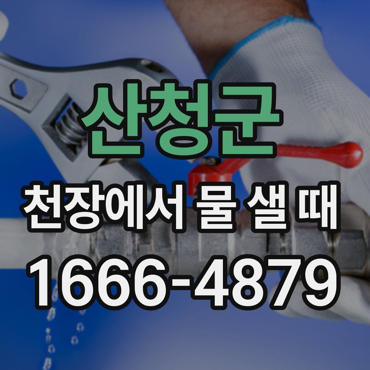 산청군 천장에서 물 샐 때