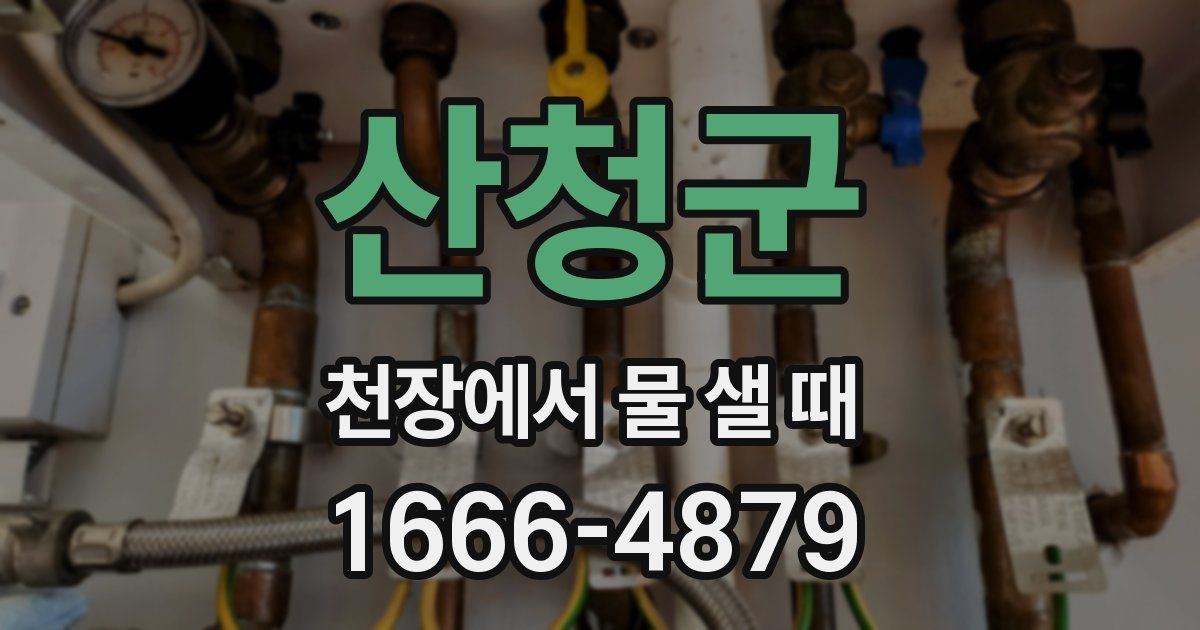 산청군 천장에서 물 샐 때