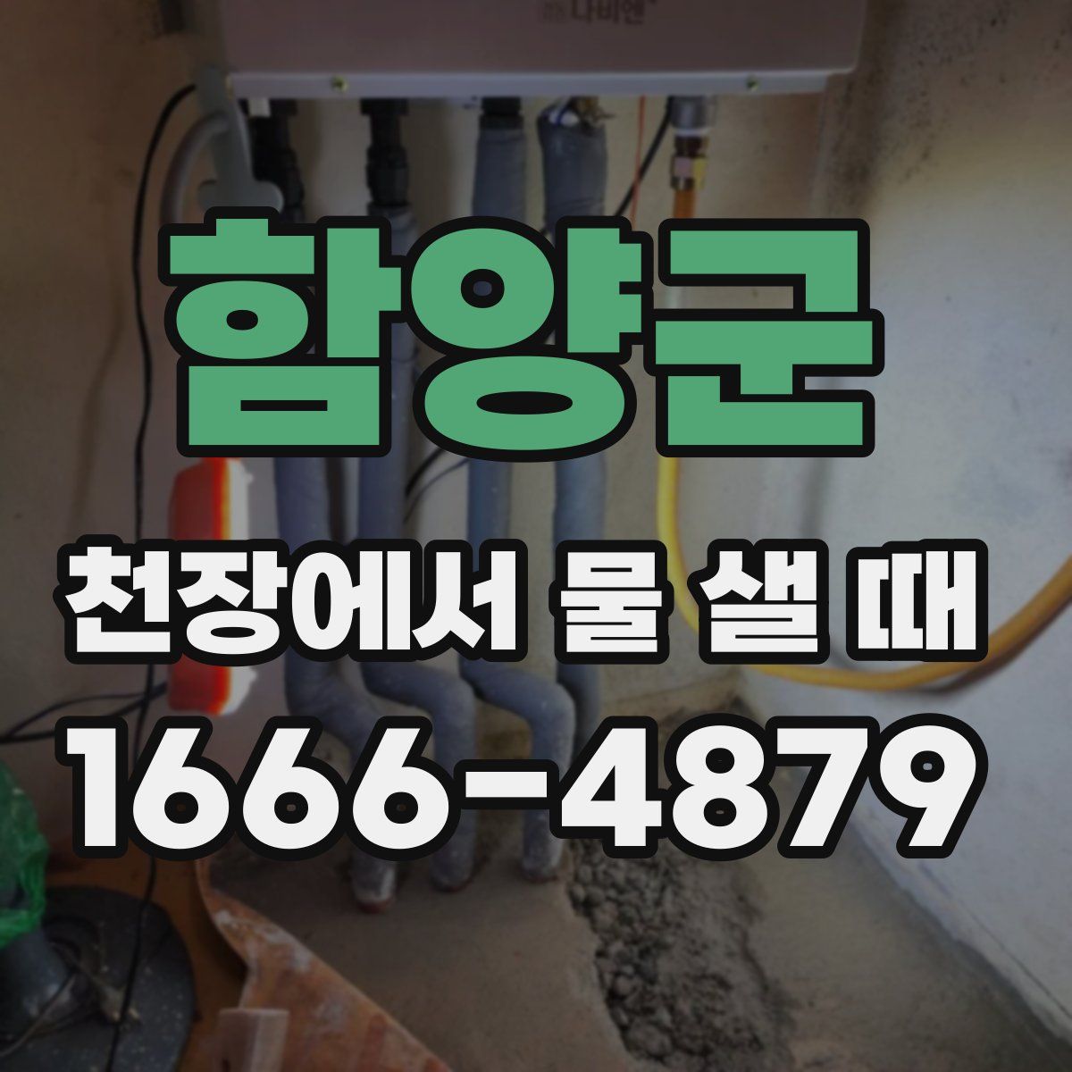 함양군 천장에서 물 샐 때