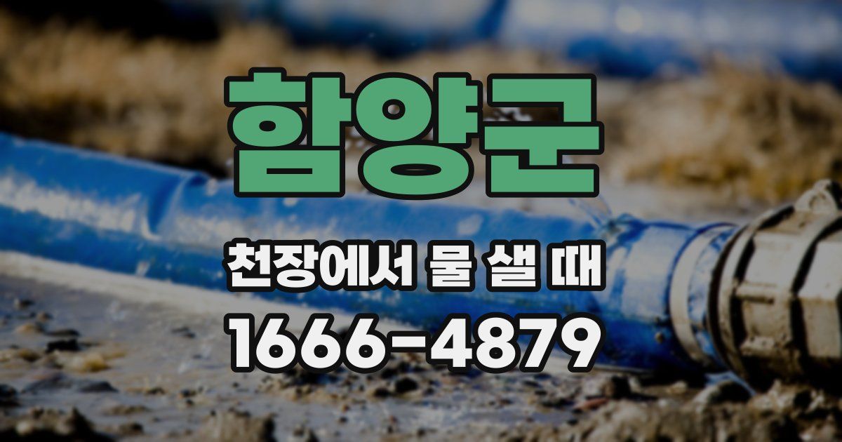 함양군 천장에서 물 샐 때