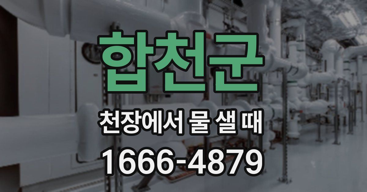 합천군 천장에서 물 샐 때