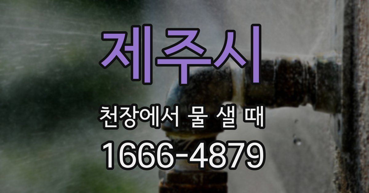 제주시 천장에서 물 샐 때