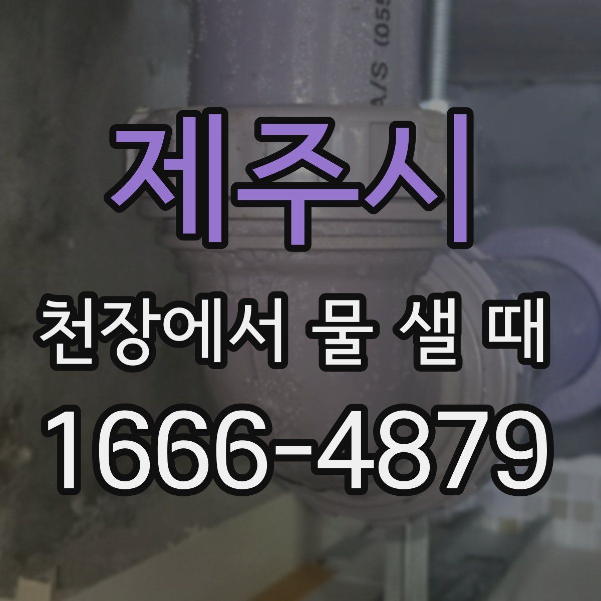 제주시 천장에서 물 샐 때