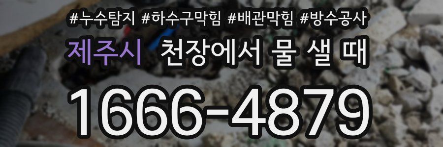 제주시 천장에서 물 샐 때