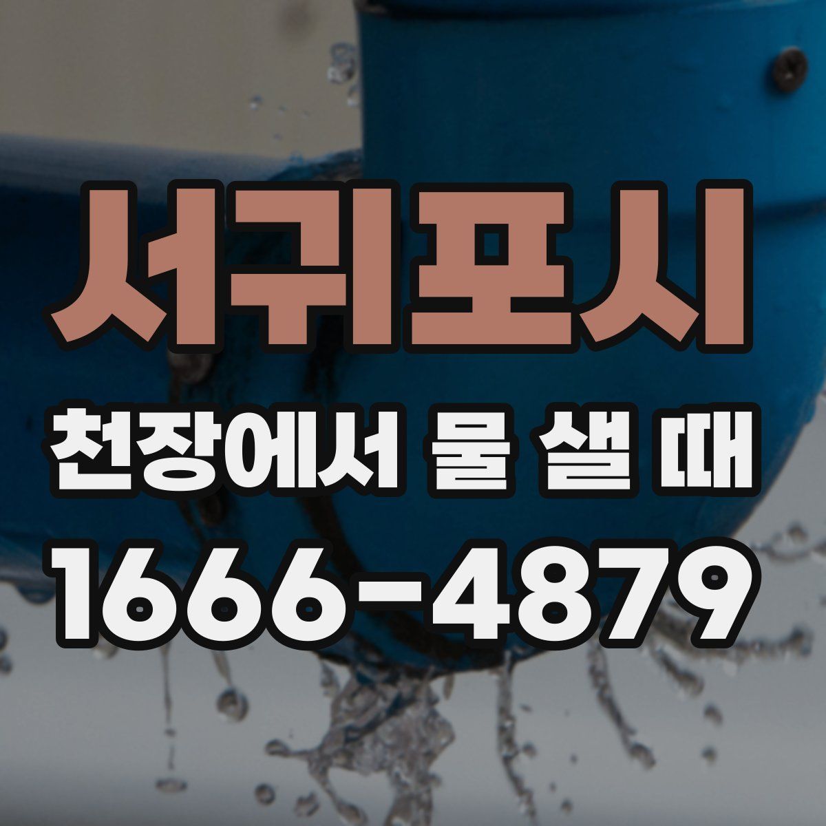 서귀포시 천장에서 물 샐 때