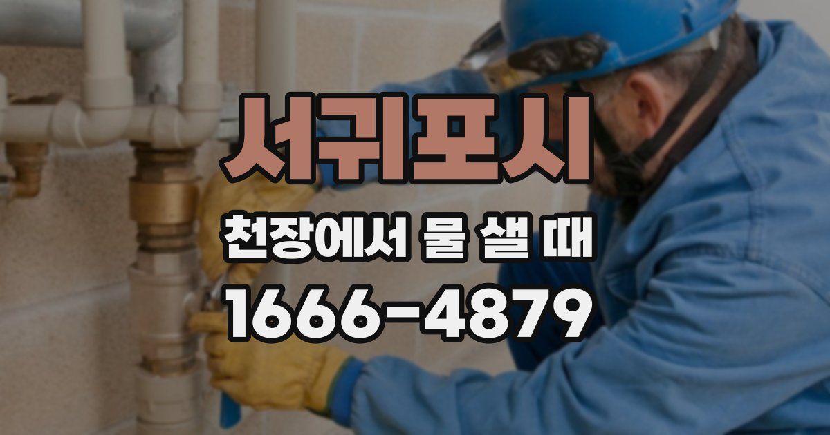 서귀포시 천장에서 물 샐 때