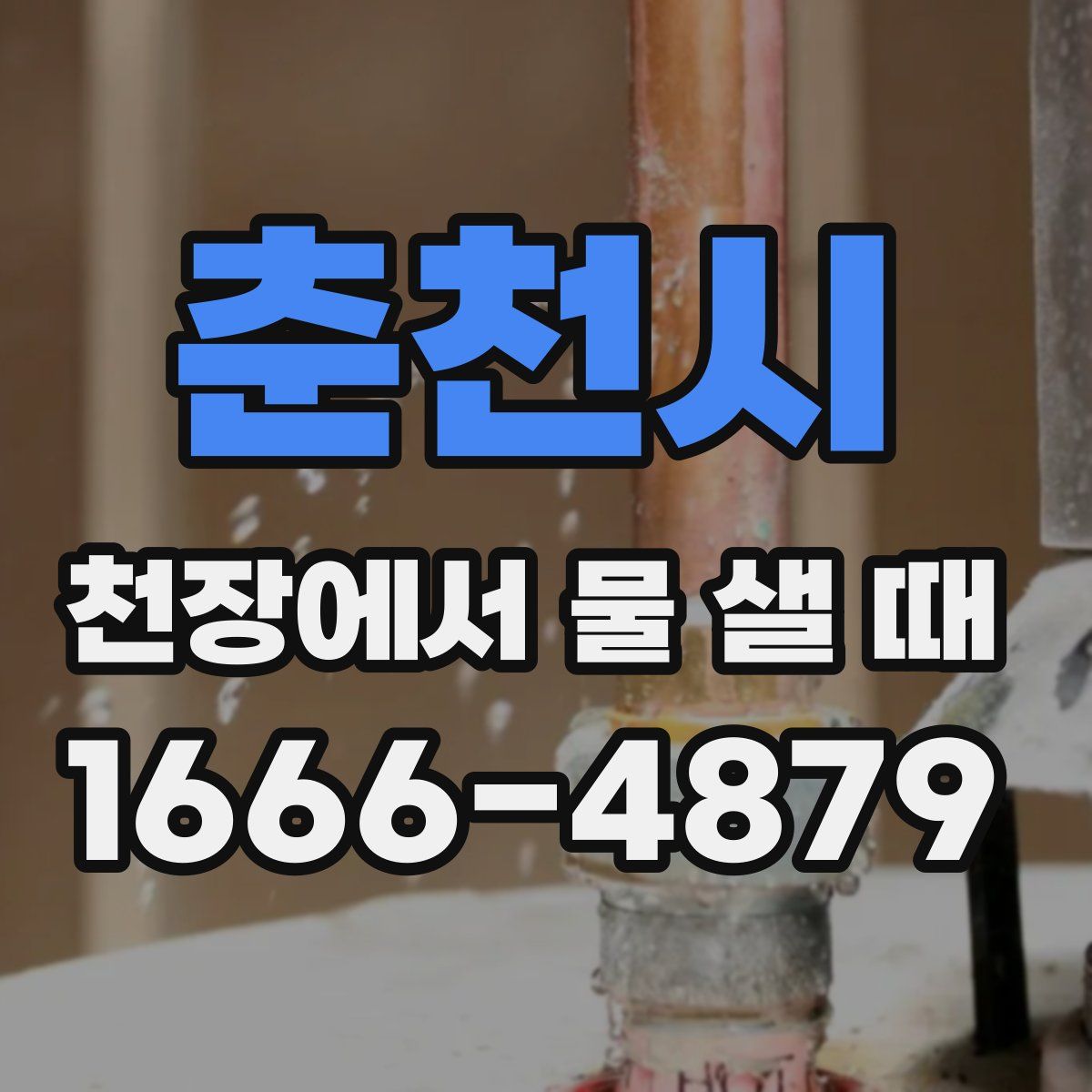 춘천시 천장에서 물 샐 때