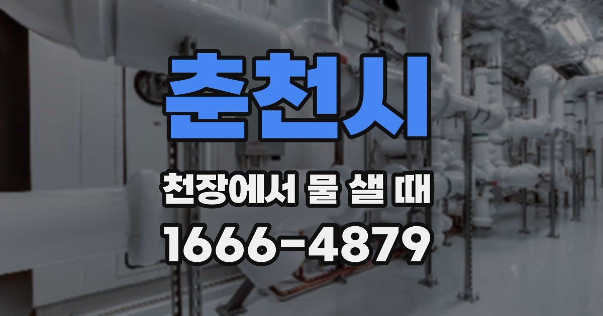 춘천시 천장에서 물 샐 때