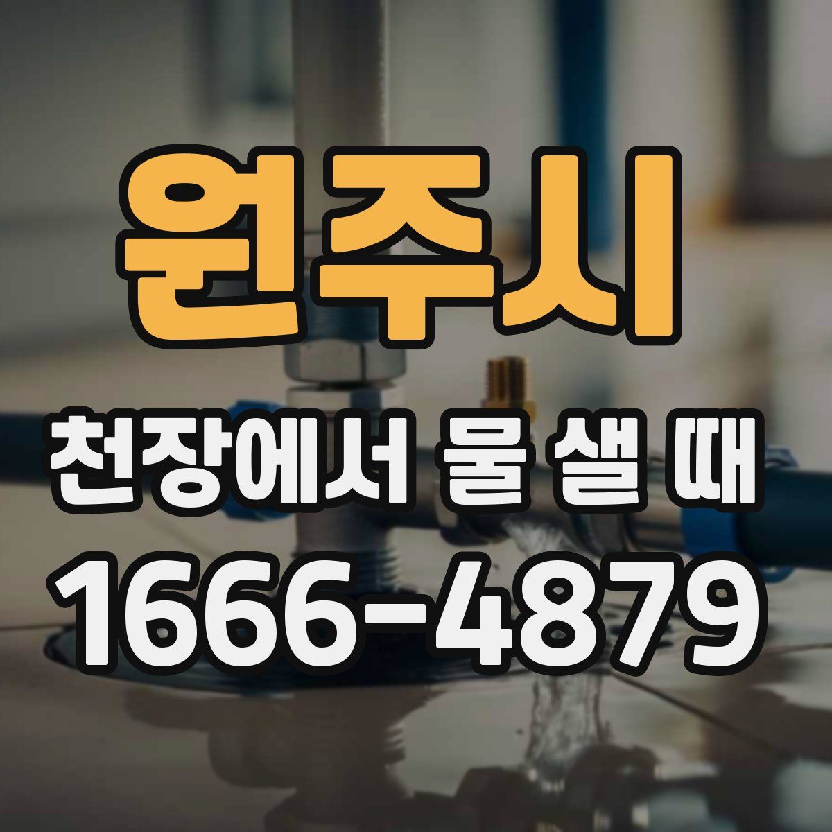 원주시 천장에서 물 샐 때
