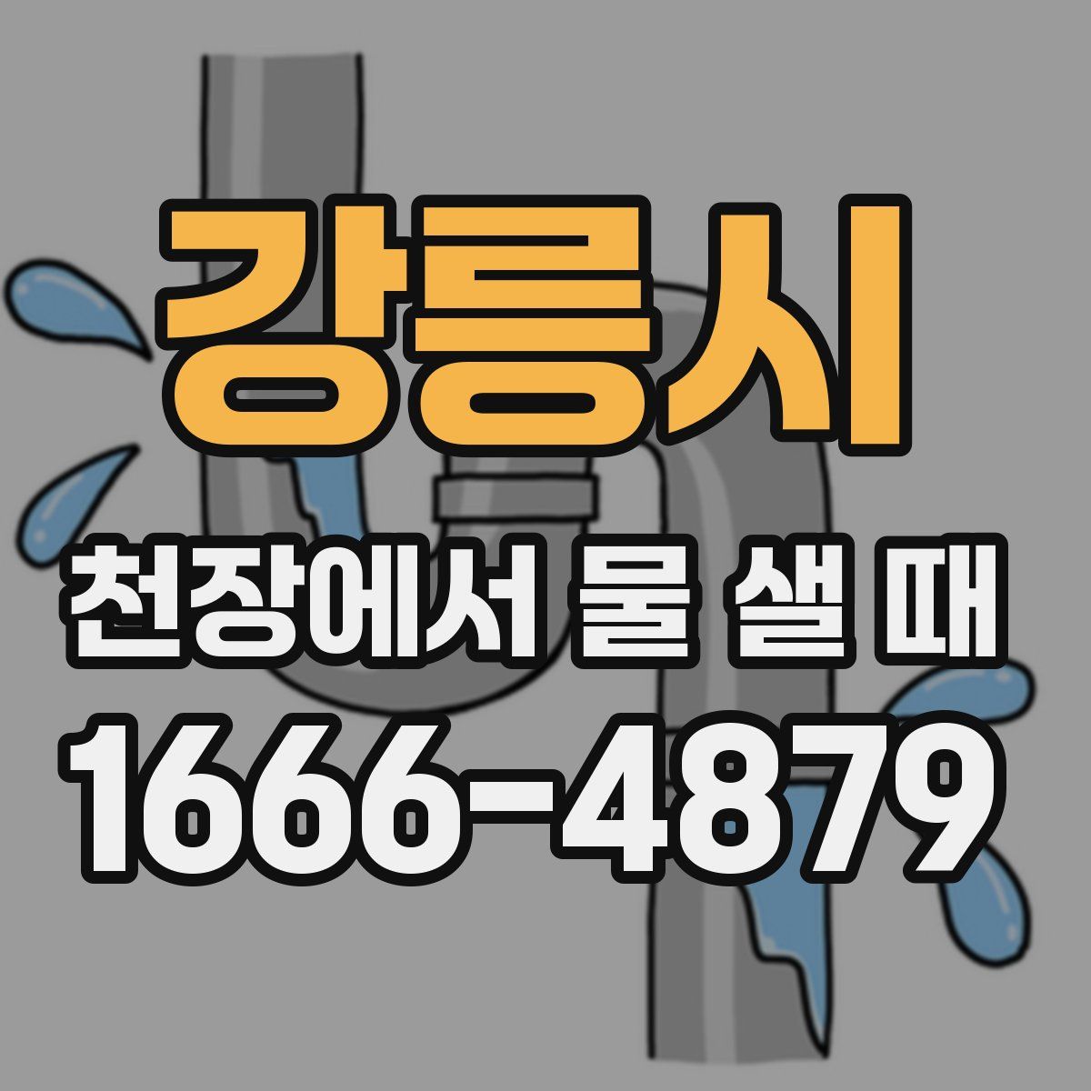 강릉시 천장에서 물 샐 때