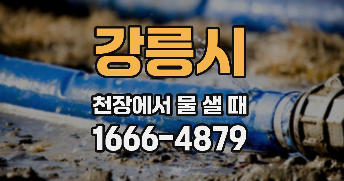 강릉시 천장에서 물 샐 때