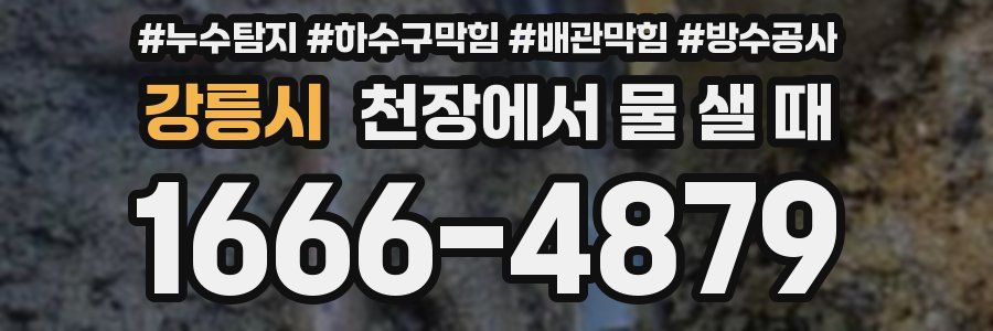 강릉시 천장에서 물 샐 때
