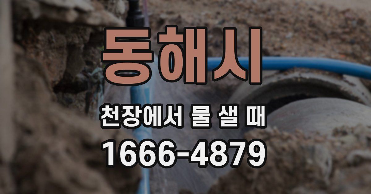 동해시 천장에서 물 샐 때