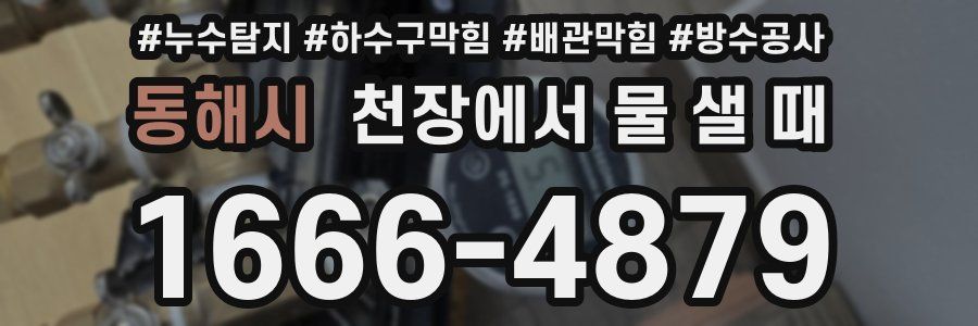 동해시 천장에서 물 샐 때