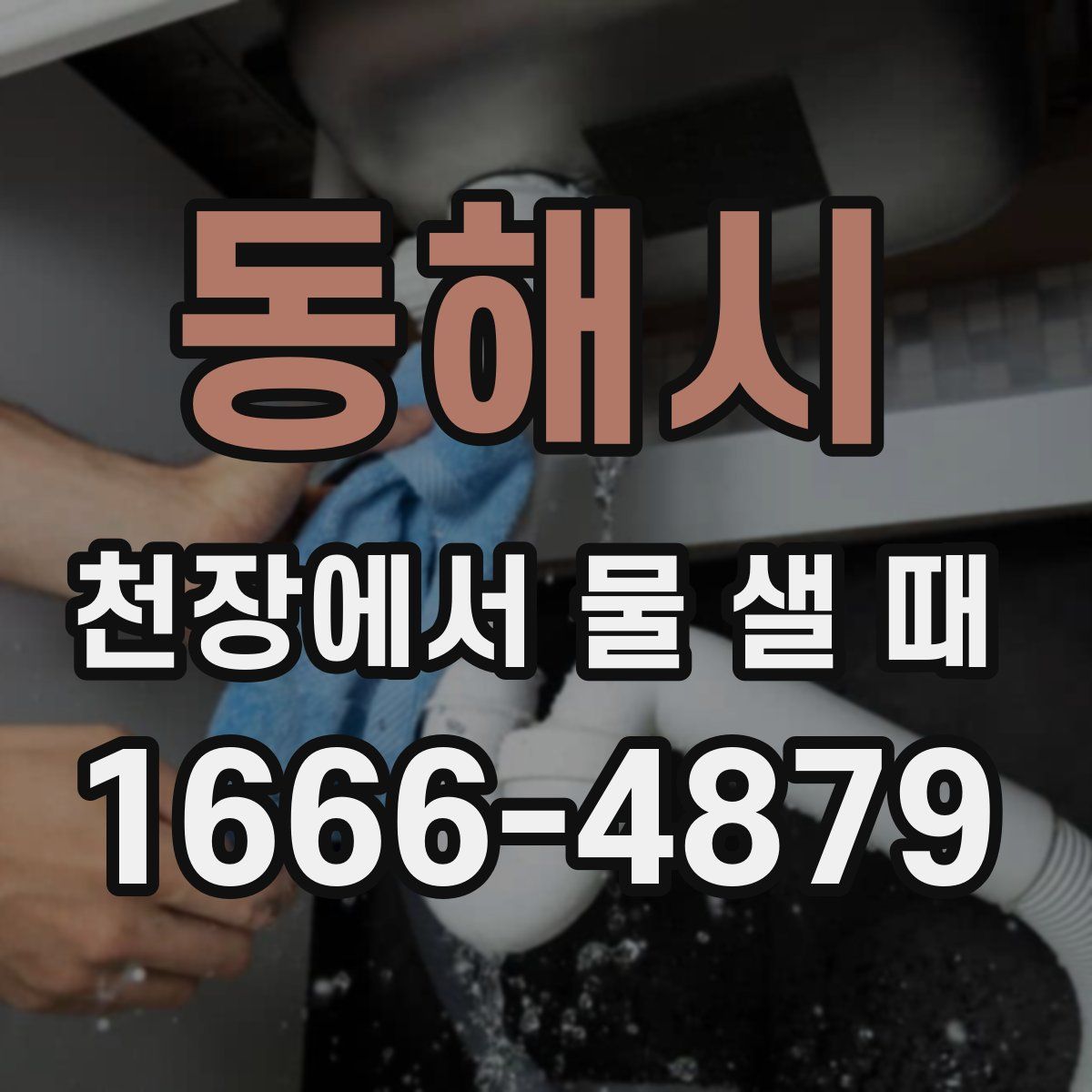 동해시 천장에서 물 샐 때
