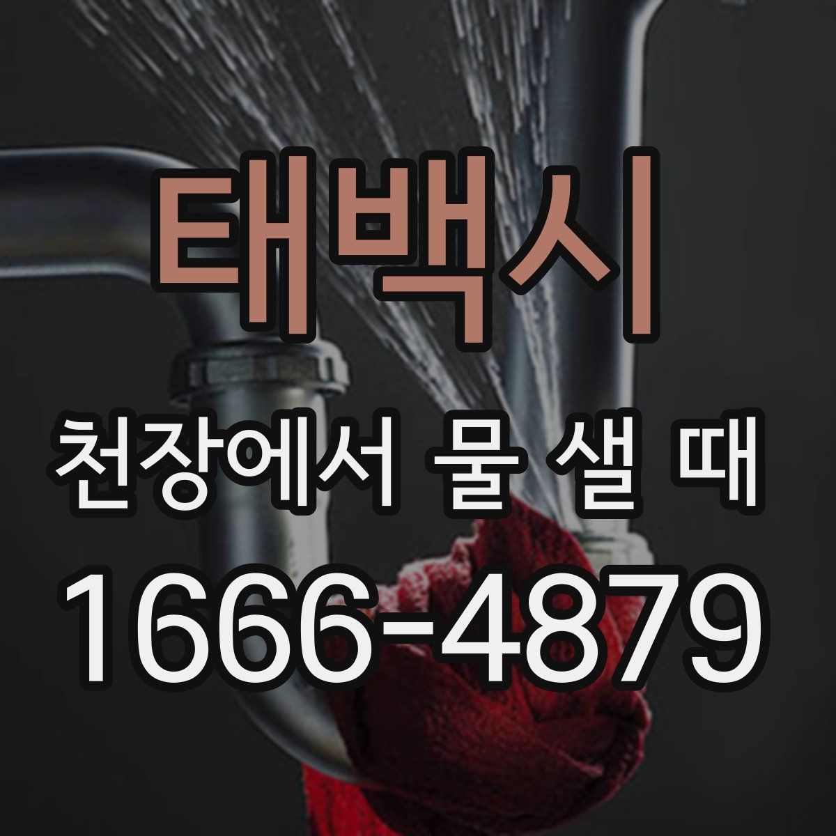 태백시 천장에서 물 샐 때