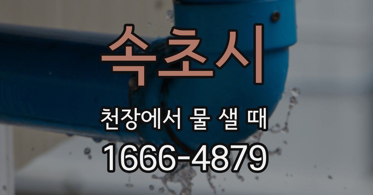 속초시 천장에서 물 샐 때