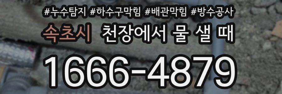 속초시 천장에서 물 샐 때
