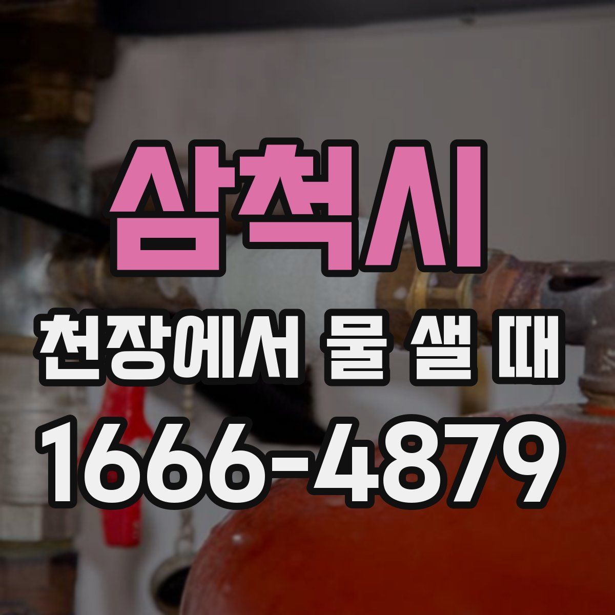 삼척시 천장에서 물 샐 때