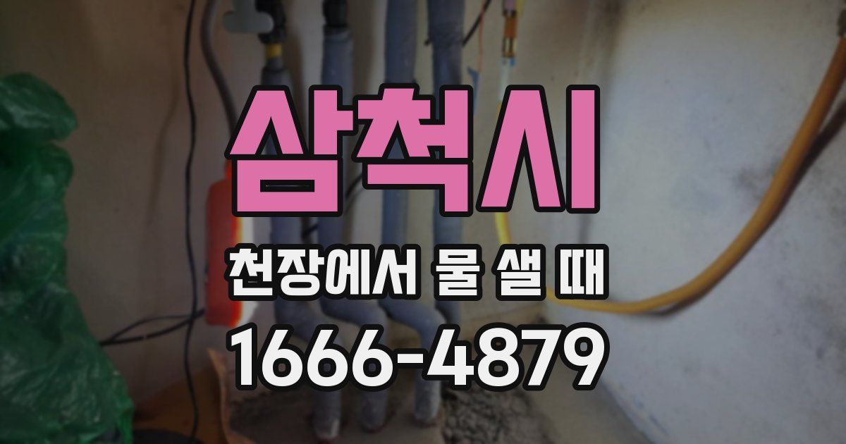 삼척시 천장에서 물 샐 때