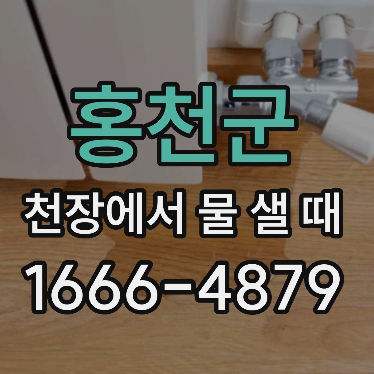 홍천군 천장에서 물 샐 때
