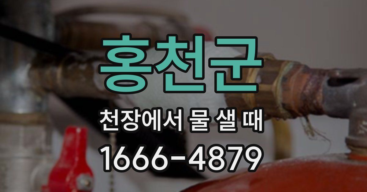 홍천군 천장에서 물 샐 때