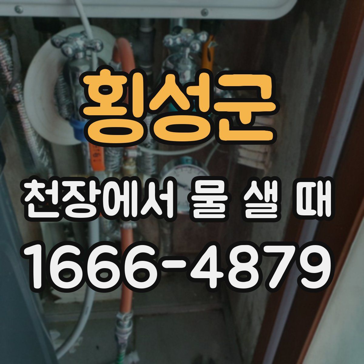 횡성군 천장에서 물 샐 때