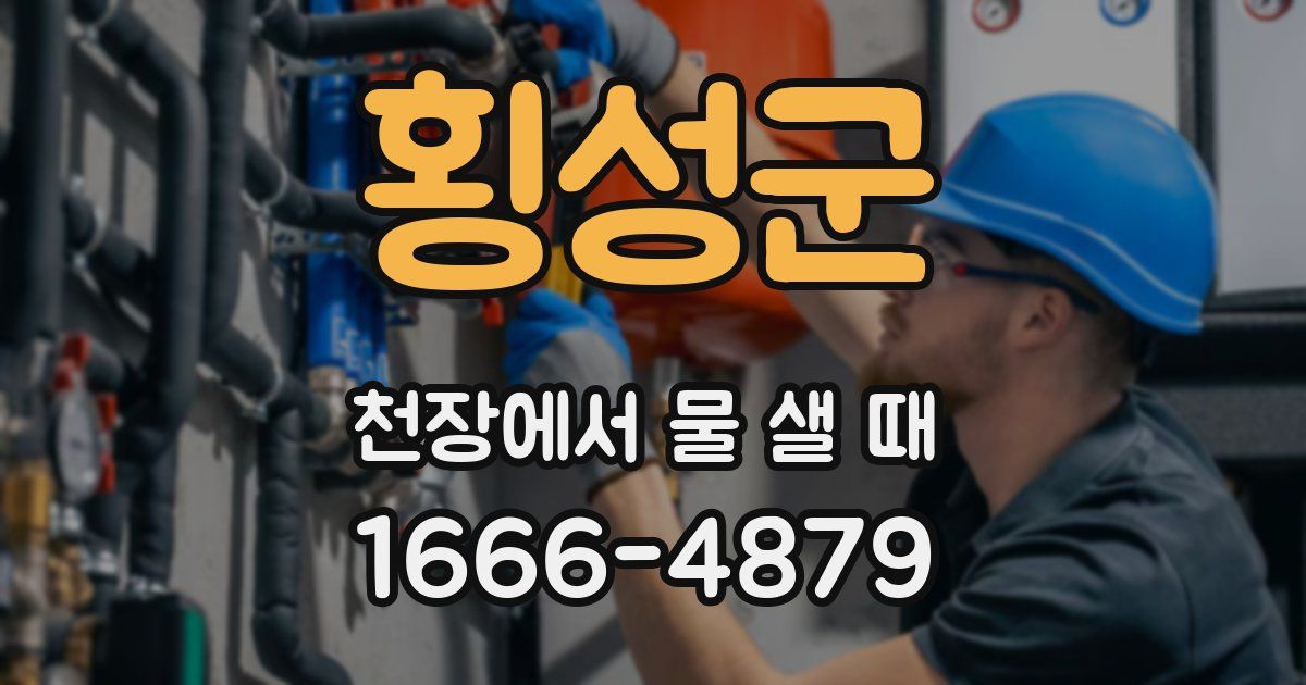 횡성군 천장에서 물 샐 때