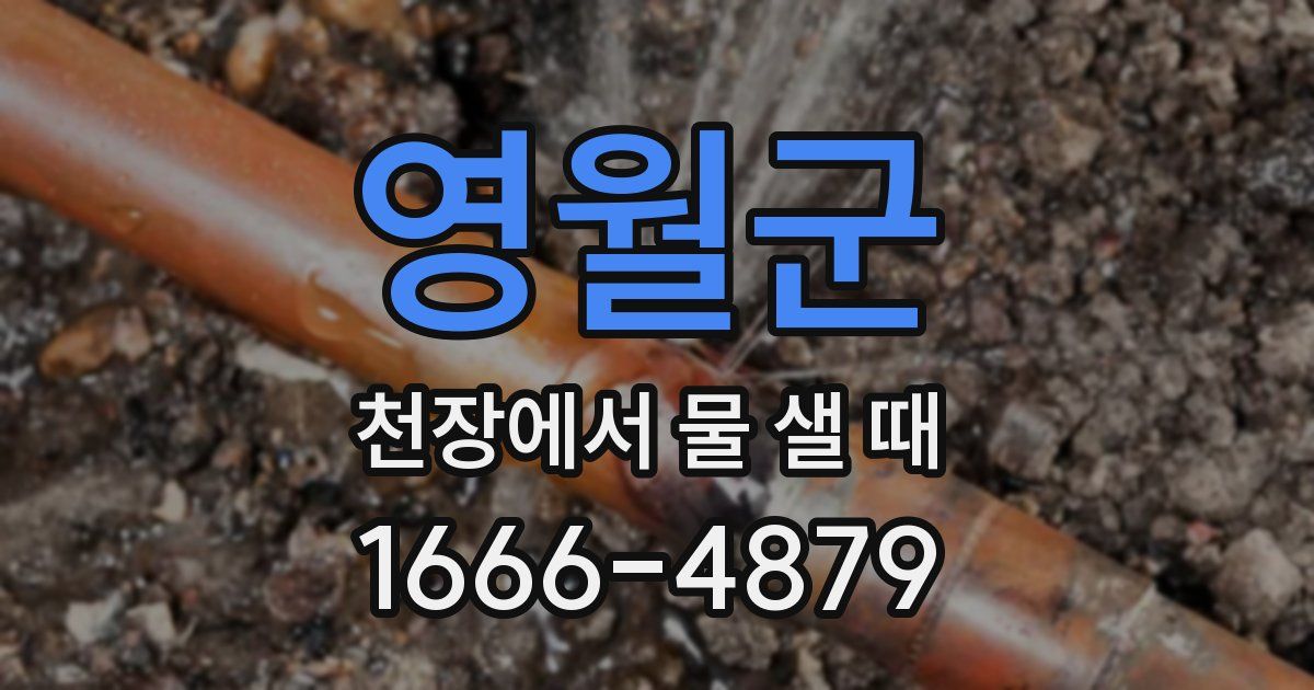 영월군 천장에서 물 샐 때