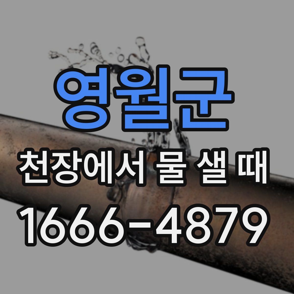 영월군 천장에서 물 샐 때