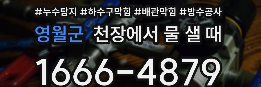 영월군 천장에서 물 샐 때