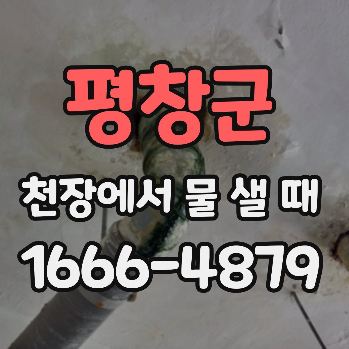 평창군 천장에서 물 샐 때