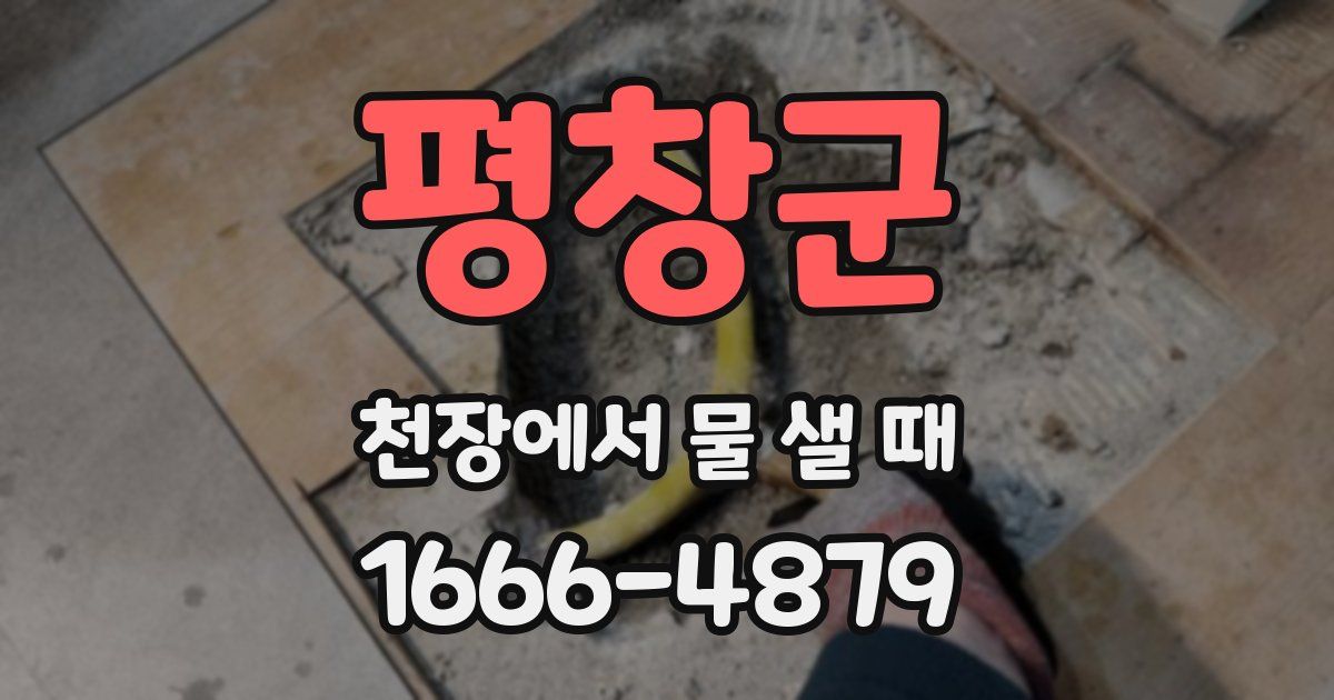 평창군 천장에서 물 샐 때
