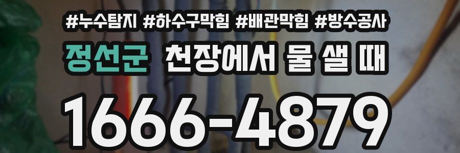 정선군 천장에서 물 샐 때