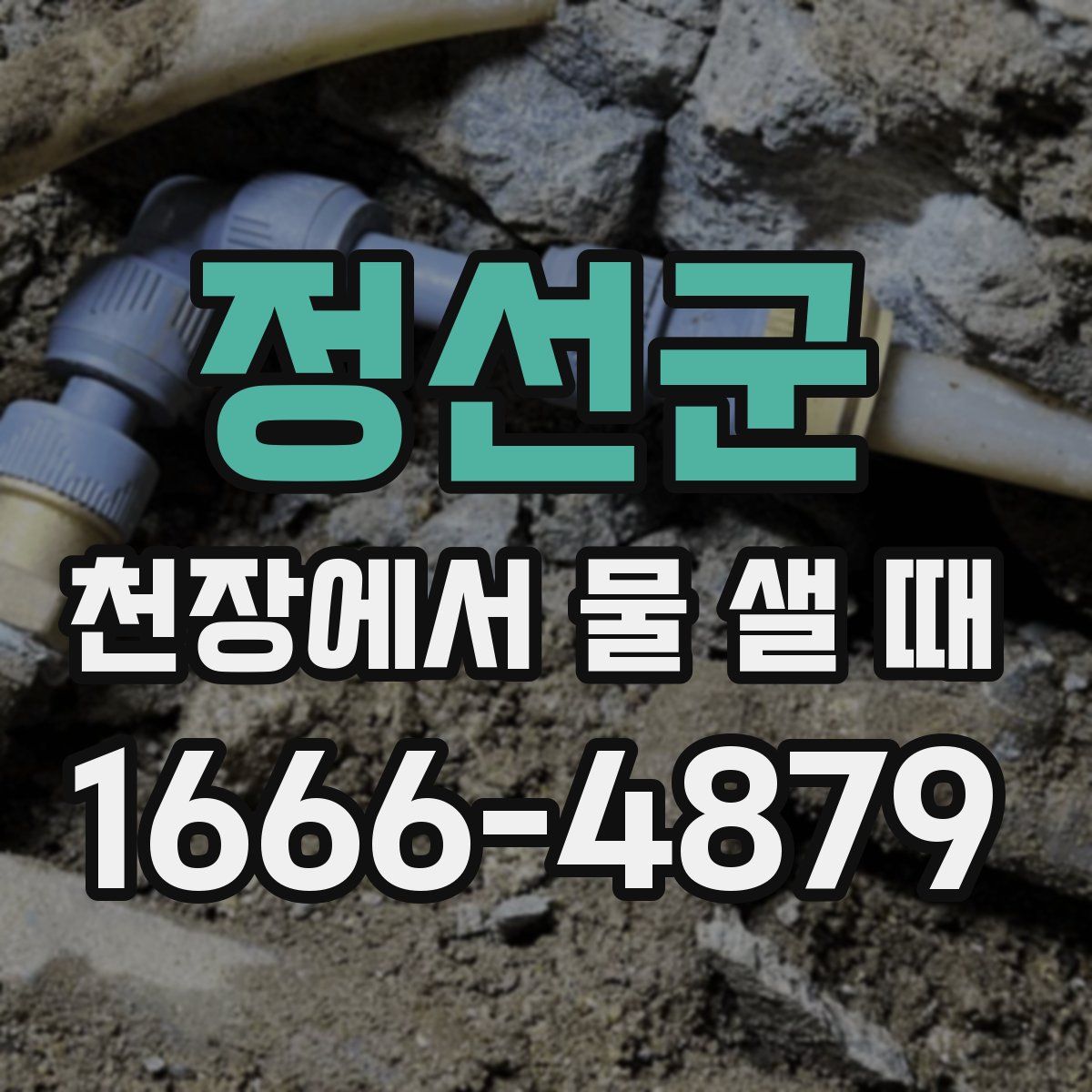 정선군 천장에서 물 샐 때