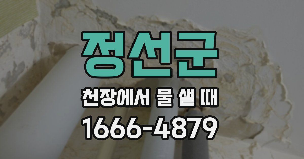 정선군 천장에서 물 샐 때