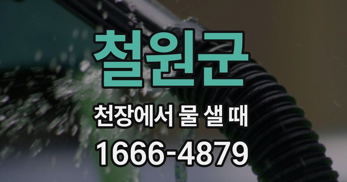 철원군 천장에서 물 샐 때