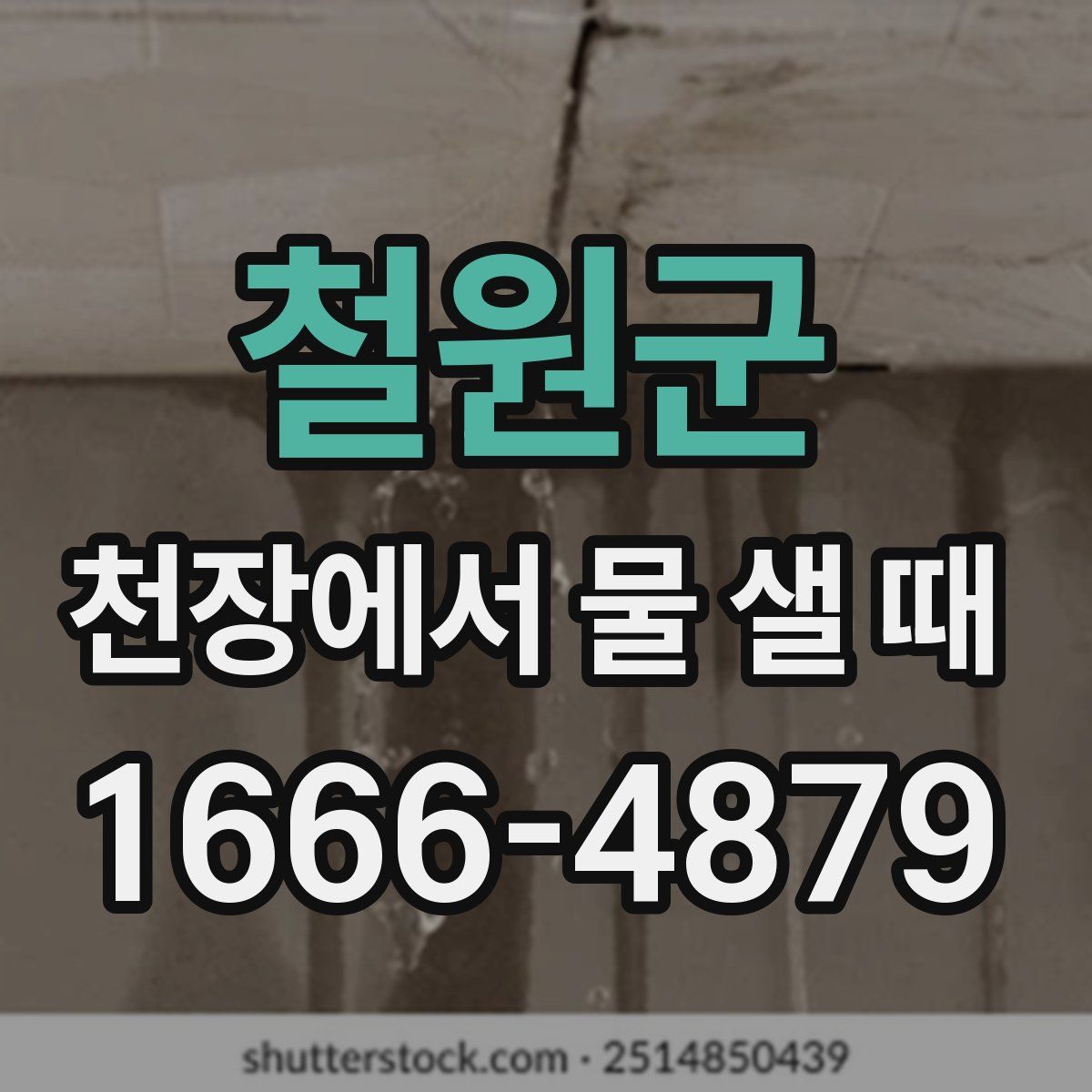철원군 천장에서 물 샐 때