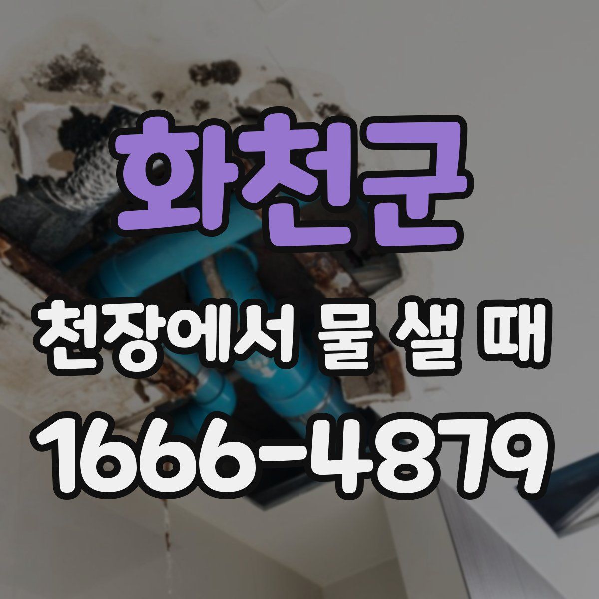 화천군 천장에서 물 샐 때