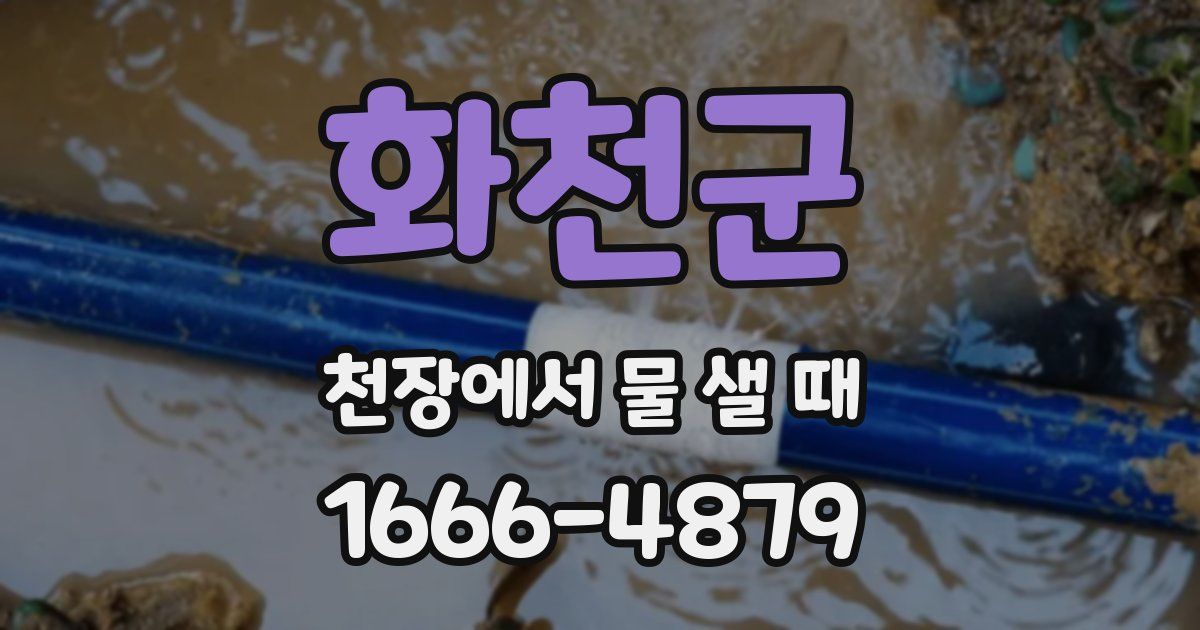 화천군 천장에서 물 샐 때