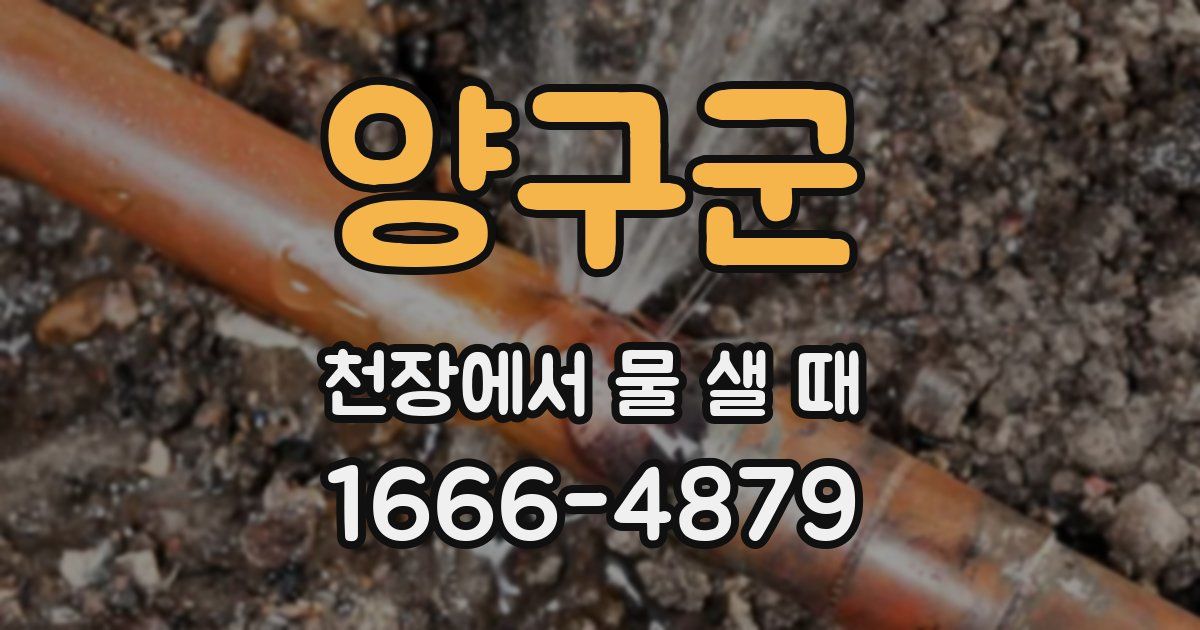 양구군 천장에서 물 샐 때