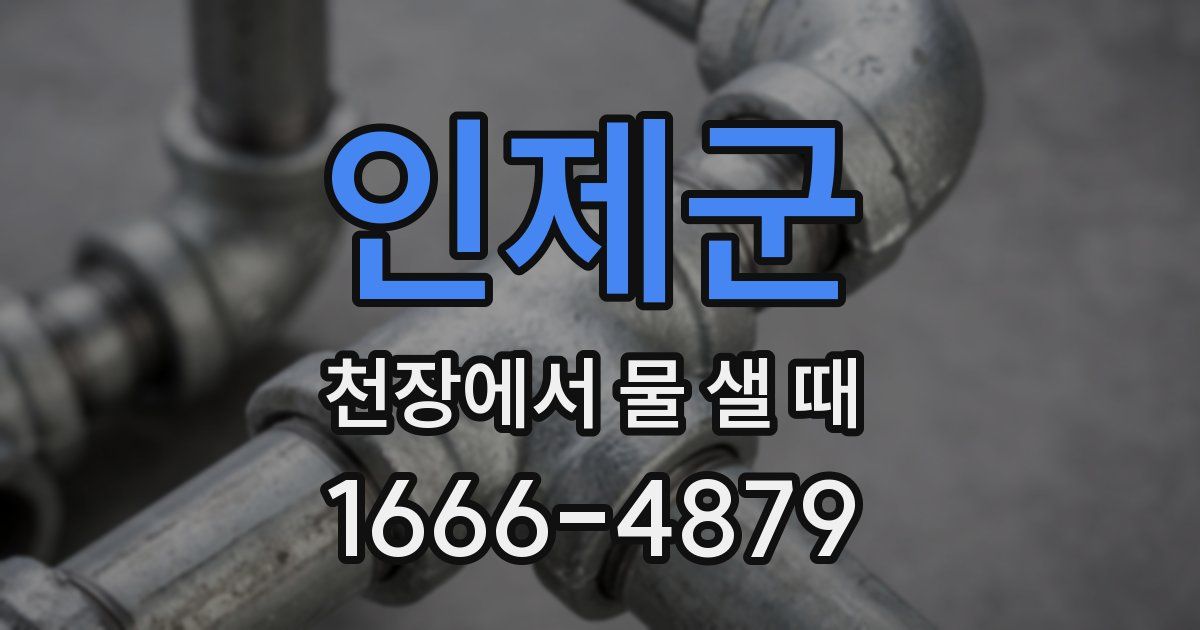 인제군 천장에서 물 샐 때