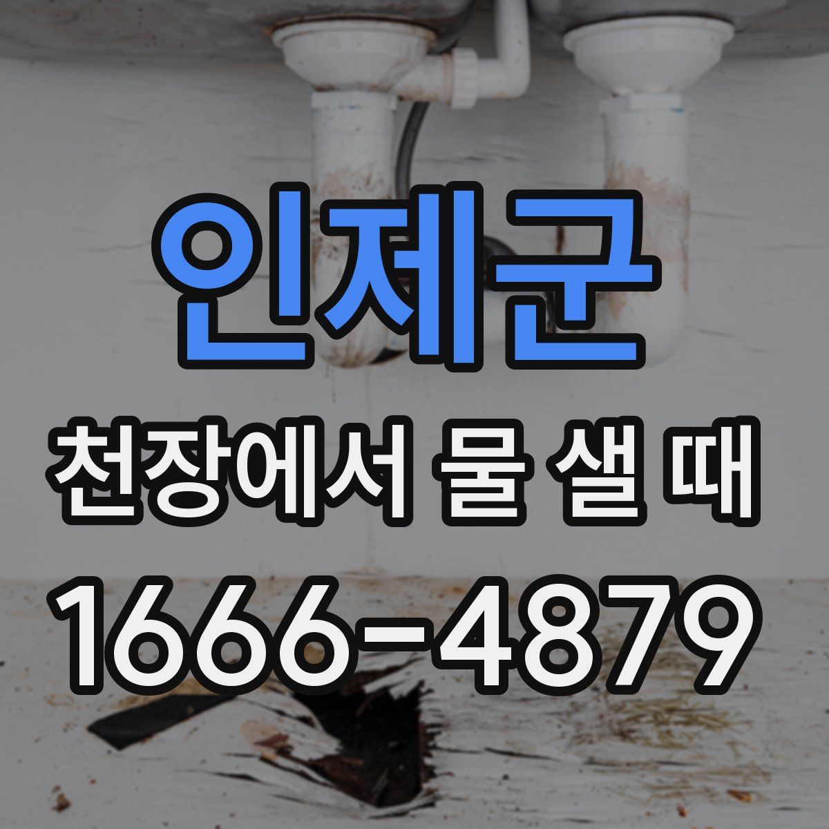 인제군 천장에서 물 샐 때