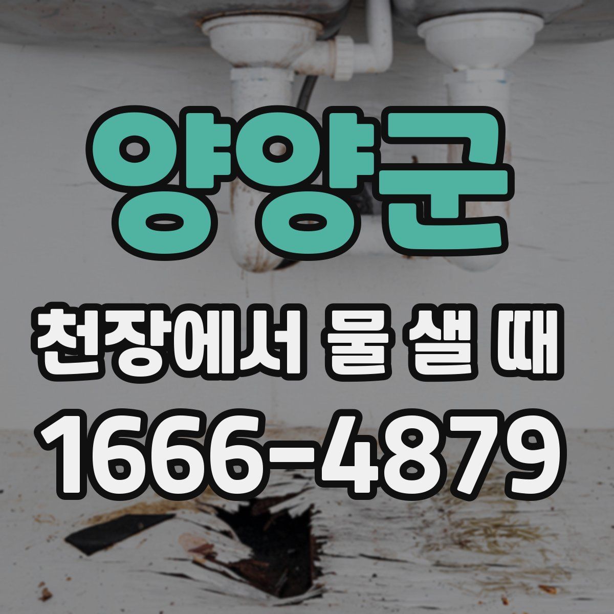 양양군 천장에서 물 샐 때