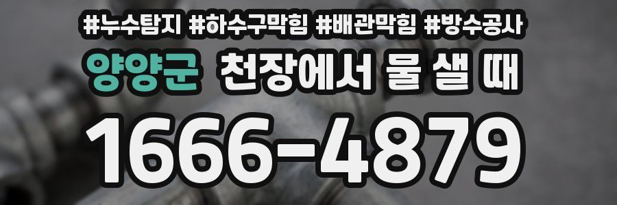 양양군 천장에서 물 샐 때
