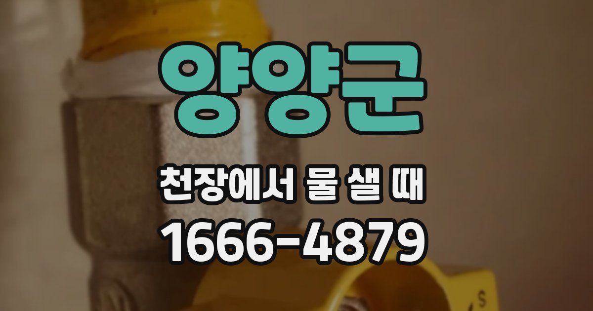 양양군 천장에서 물 샐 때